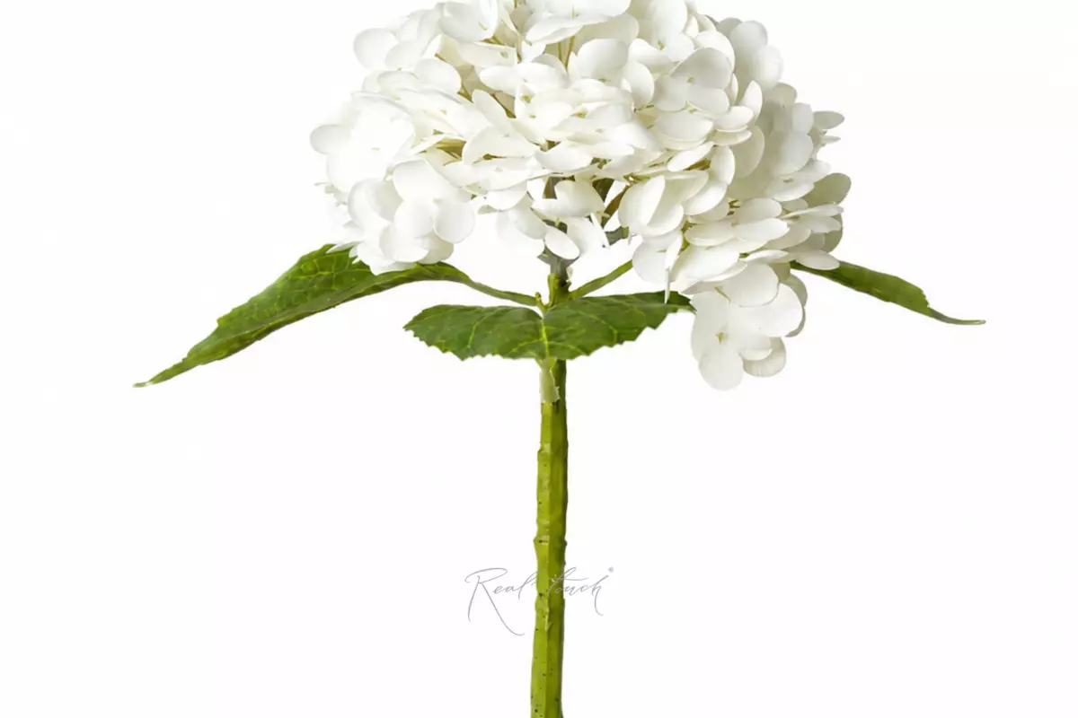 Hydrangea on a stem - white