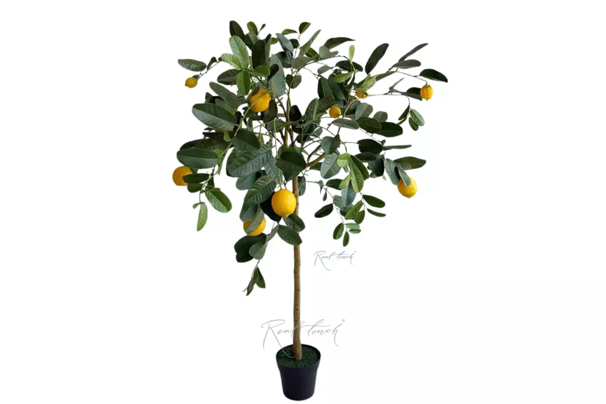 Lemon tree 148cm with UV protection - green Lemon tree 148cm with UV protection - green