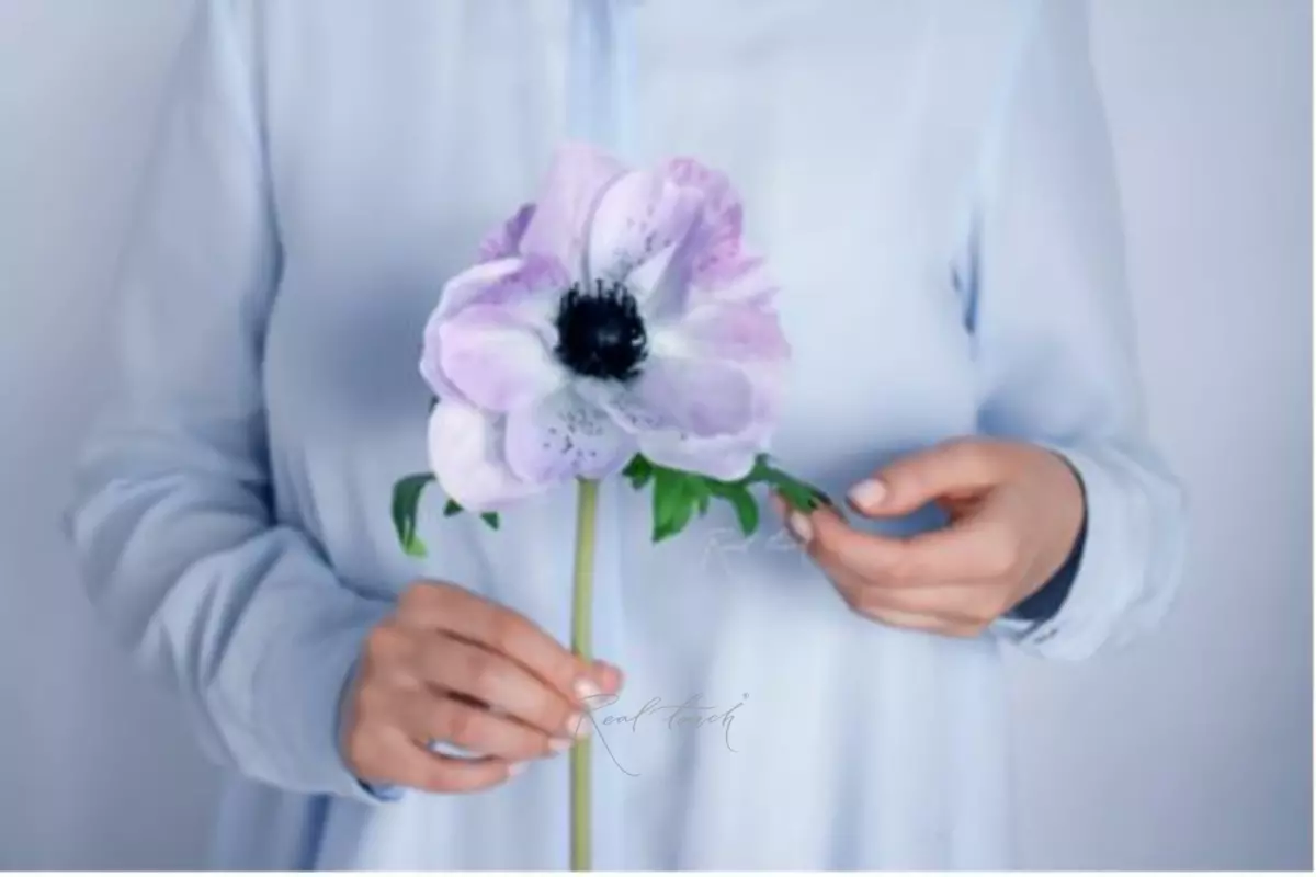 Anemone De Caen - light purple 