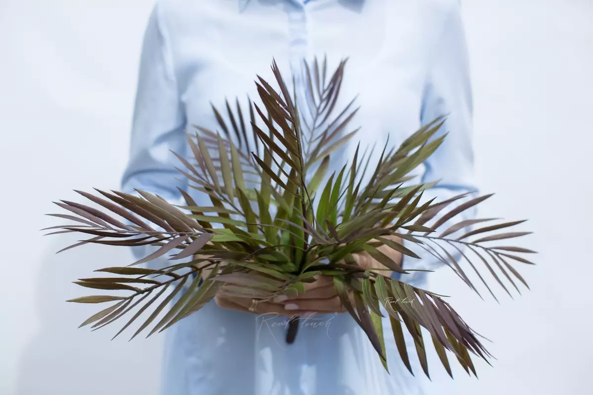 Bamboo palm tree - Green purple