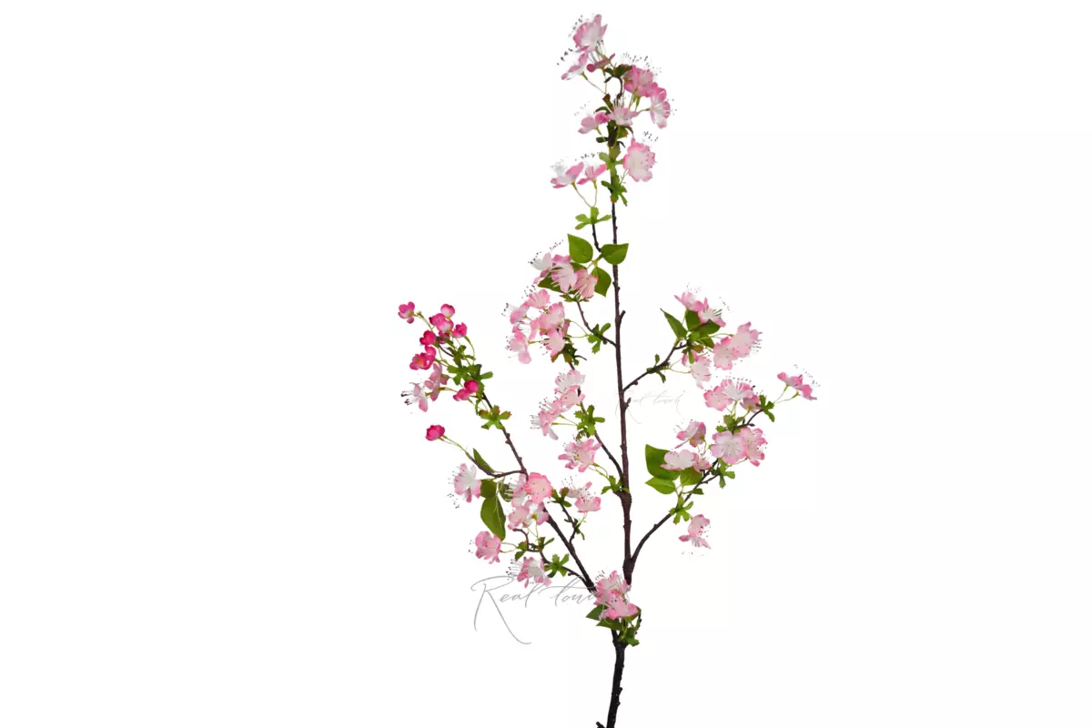 Blooming pear branch - pink