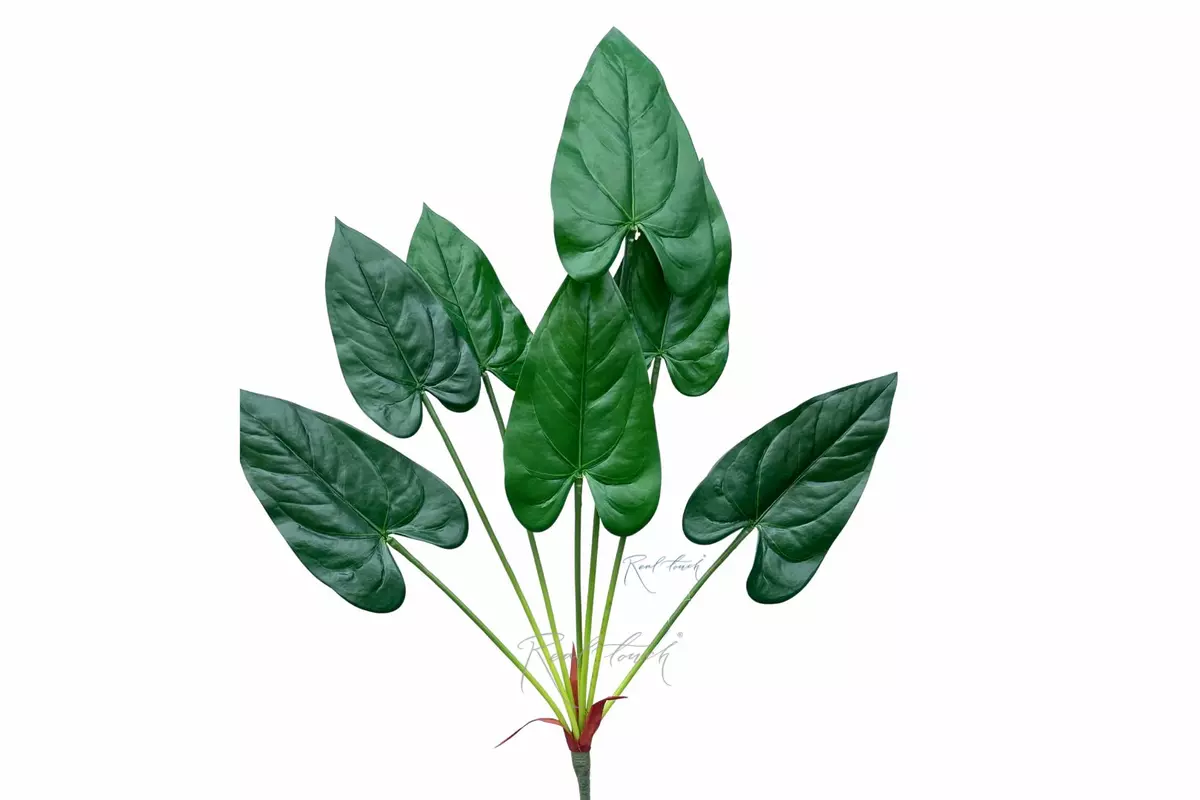 Anthurium bush of 7 leaves 76cm - green