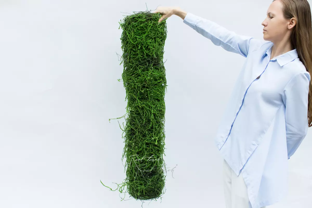 Cylinder of branches with moss 1m - green