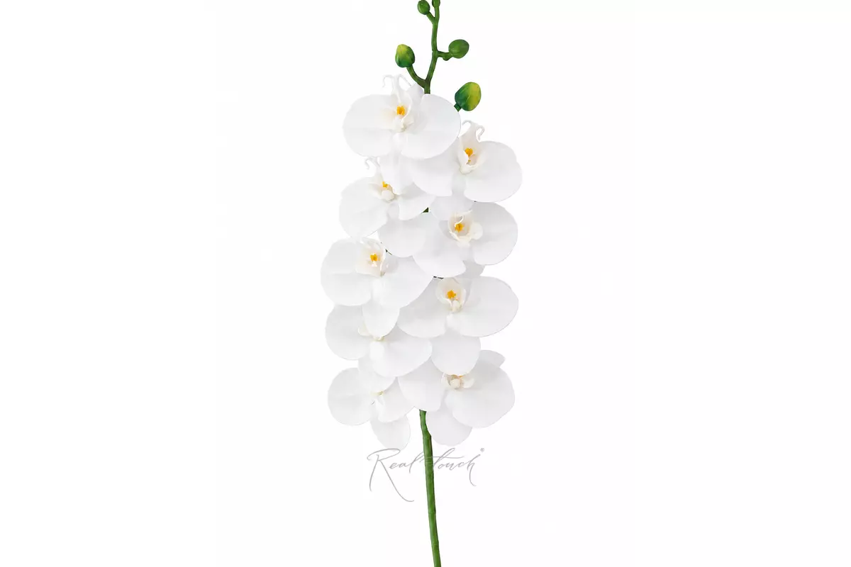 Real Touch Phalaenopsis Orchid (9 blooms) 100cm - white Real Touch Phalaenopsis Orchid (9 blooms) 100cm - white