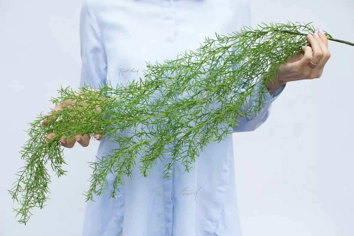 Artificial Asparagus Sprenger (38 inches) - green