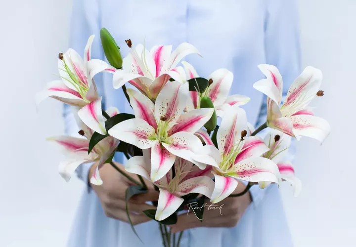 Real Touch Bush of Lilies (9 flowers) - white pink