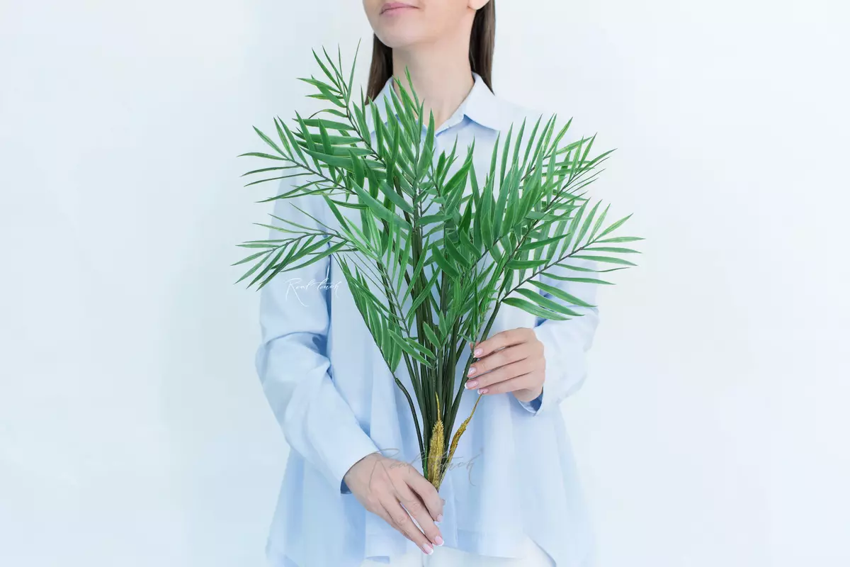 Medium bamboo palm Bush - green Medium bamboo palm Bush - green