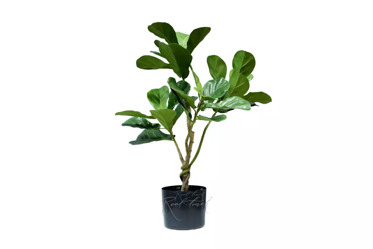Artificial Fiddle-leaf fig 70cm - green