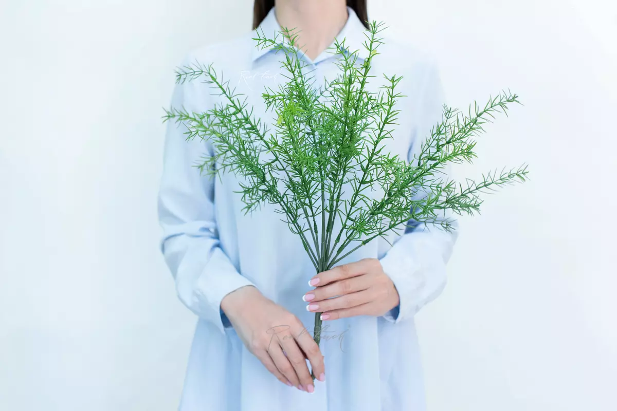 Asparagus short - green