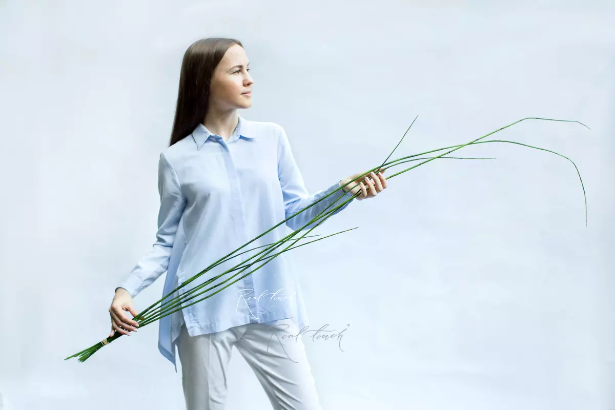 Horsetails bunch of 6pcs, 180cm - green