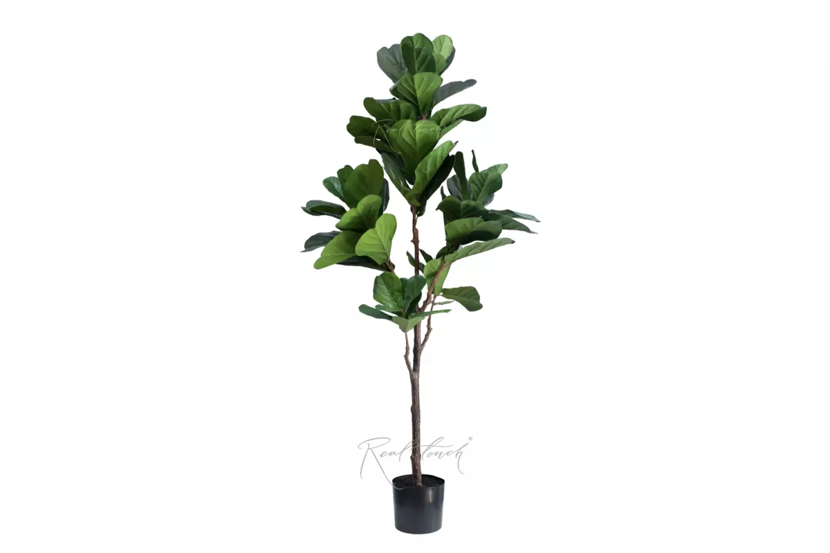 Artificial Ficus Lyrata 180cm - green