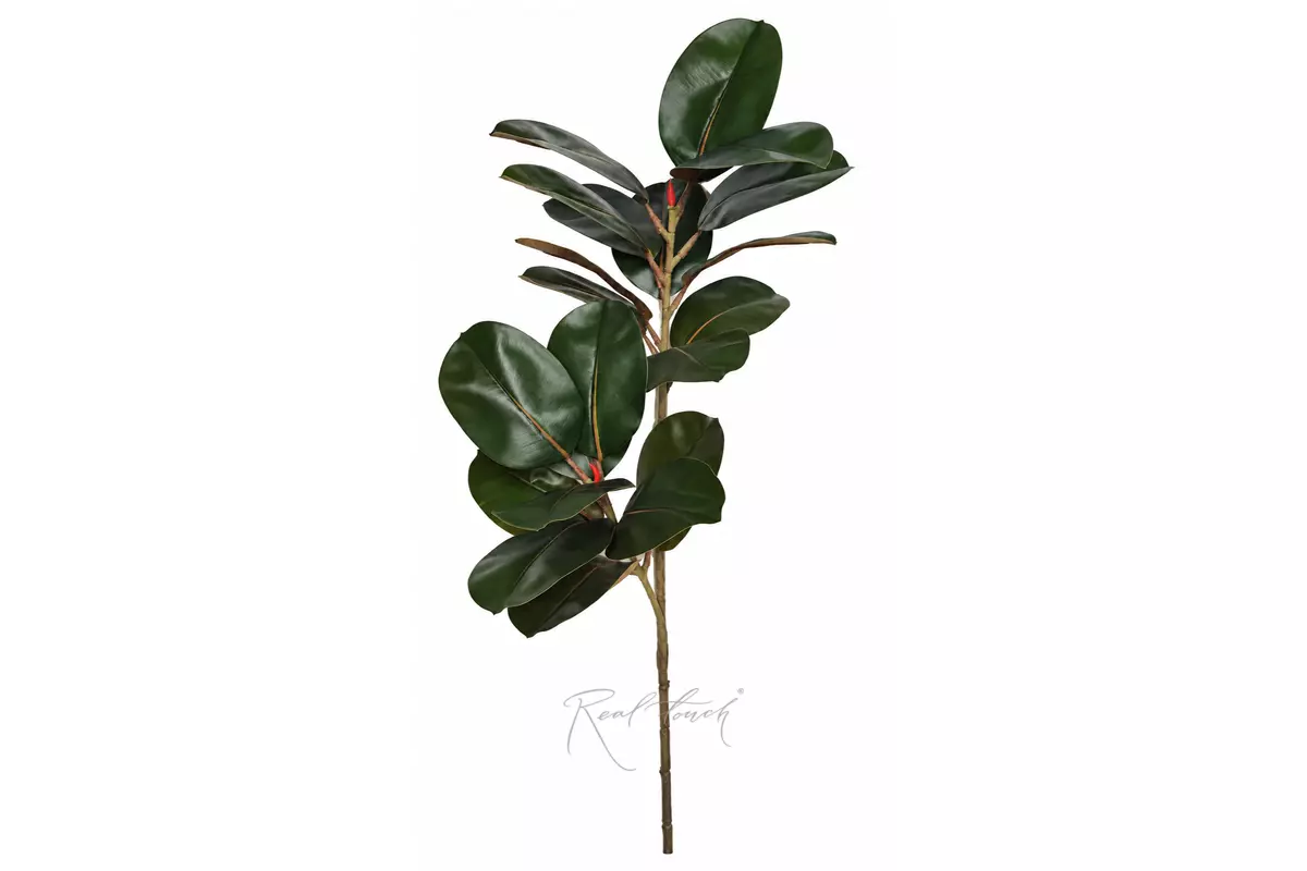 Branch of ficus Elastica 110cm - Green brown