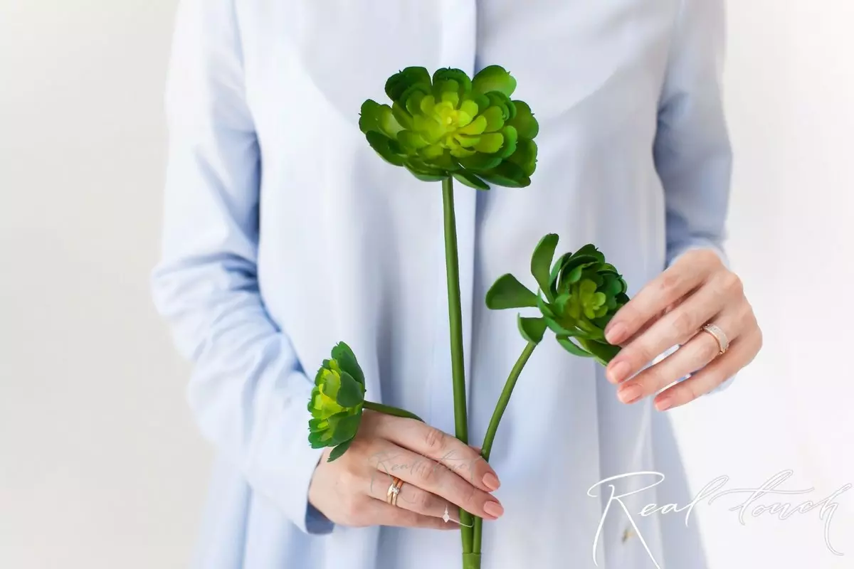 Succulent 309 (Bush Cabbage) - green