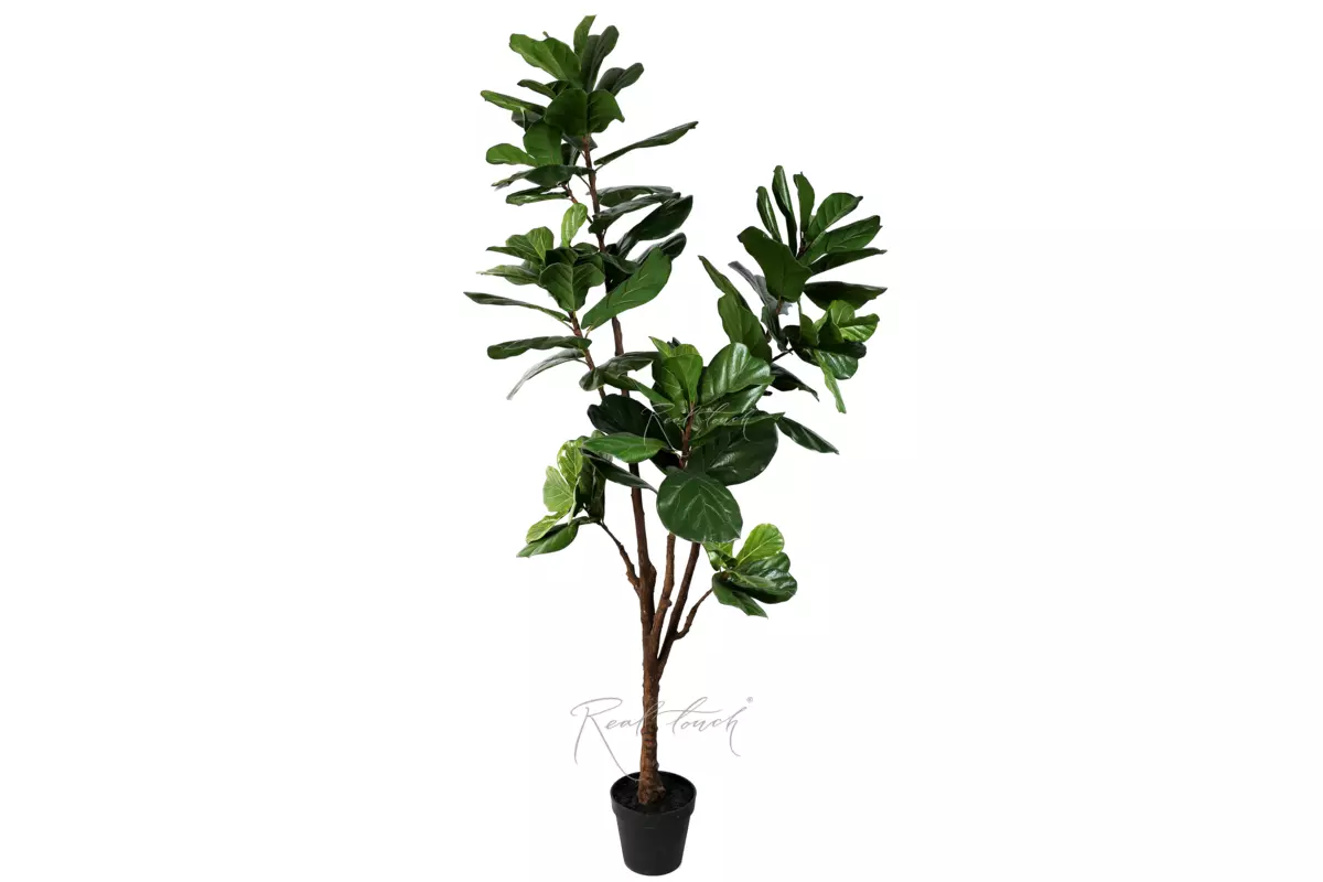 Artificial Ficus Lyrata 210cm - green