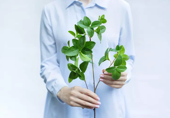Mint branch small - green