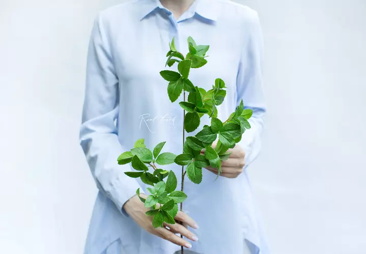 Mint branch medium - green