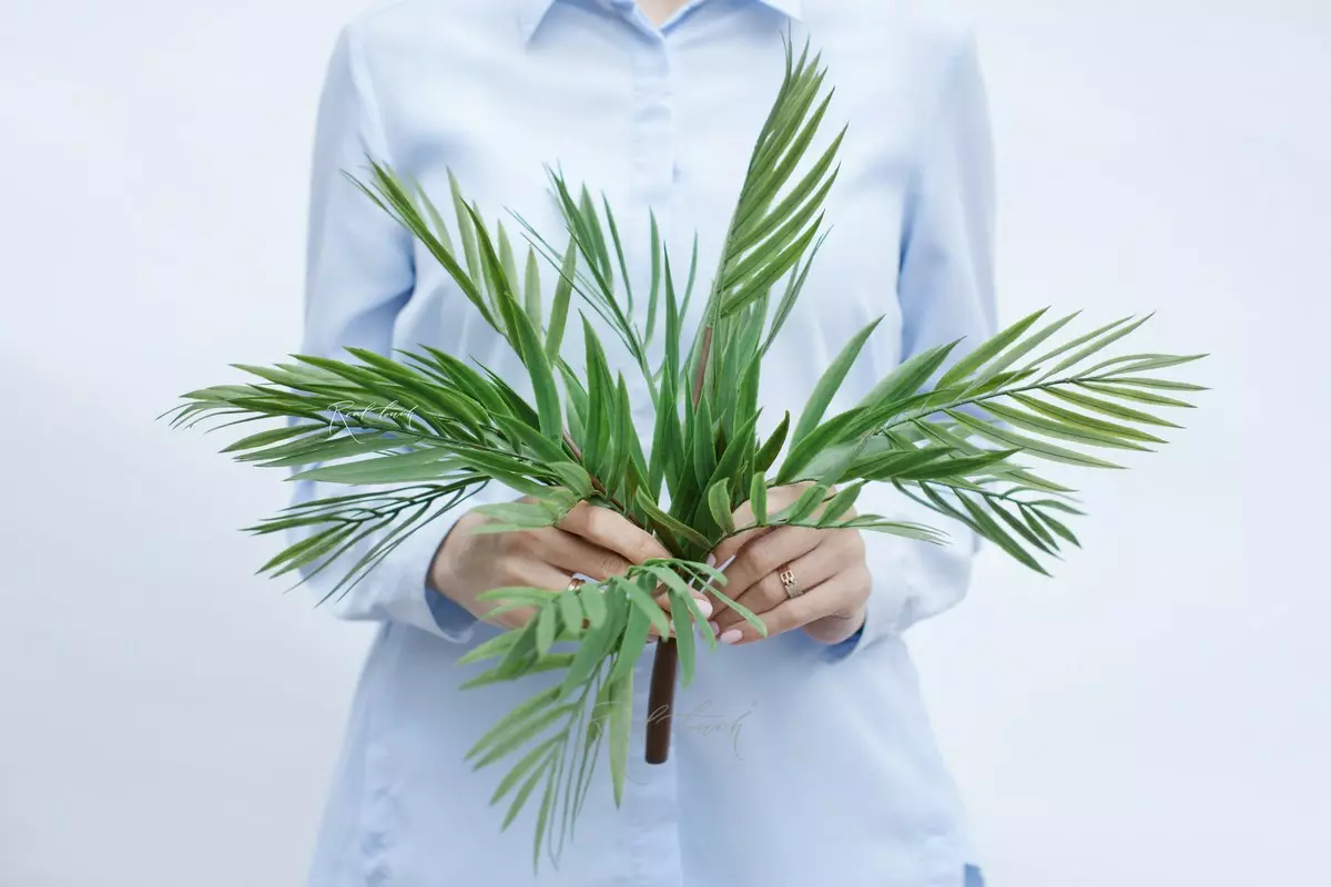 Bamboo palm tree - green