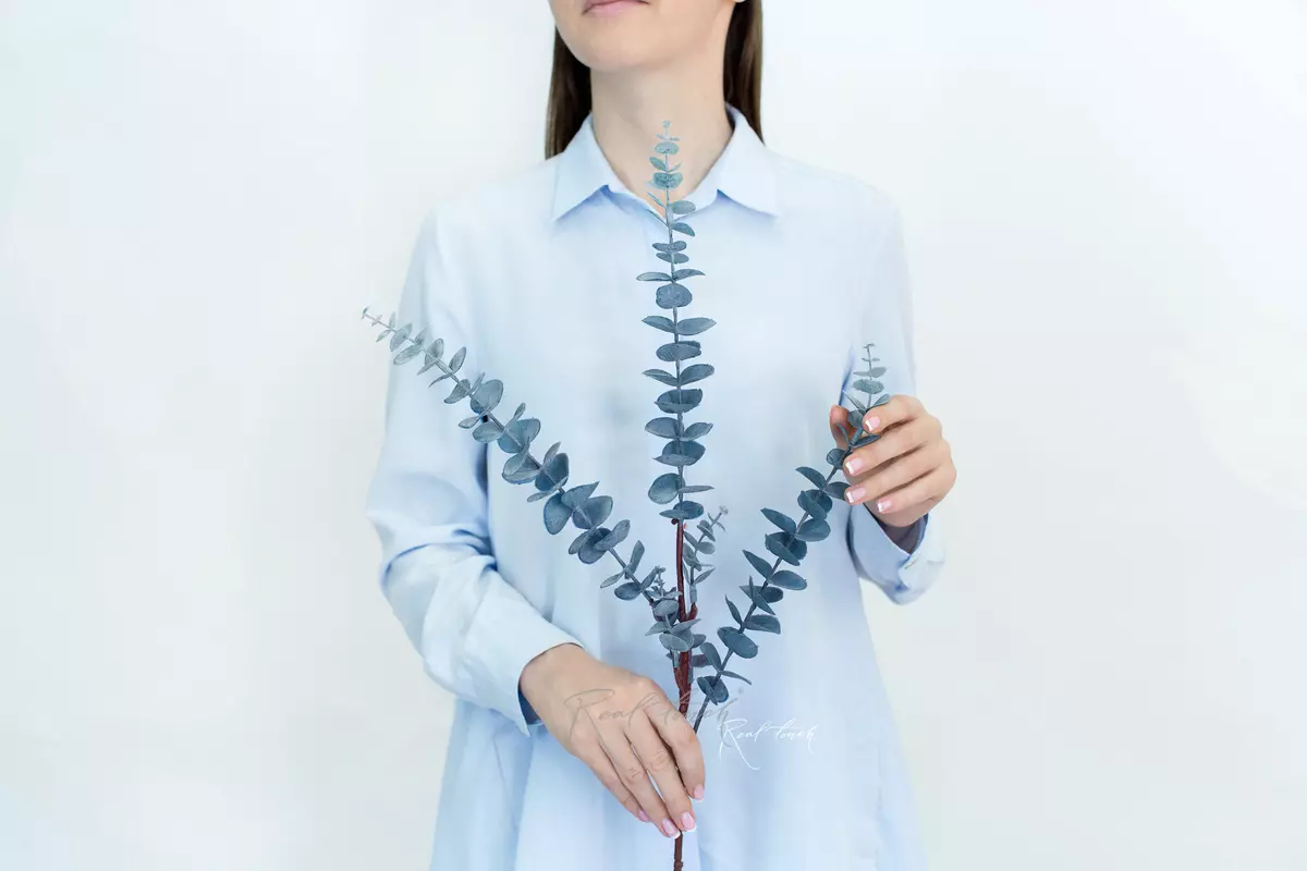 Eucalyptus BABY BLUE branch - purple