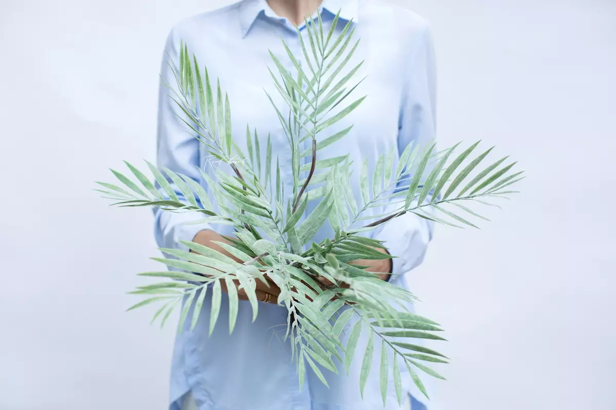 Bamboo palm tree - dusty green