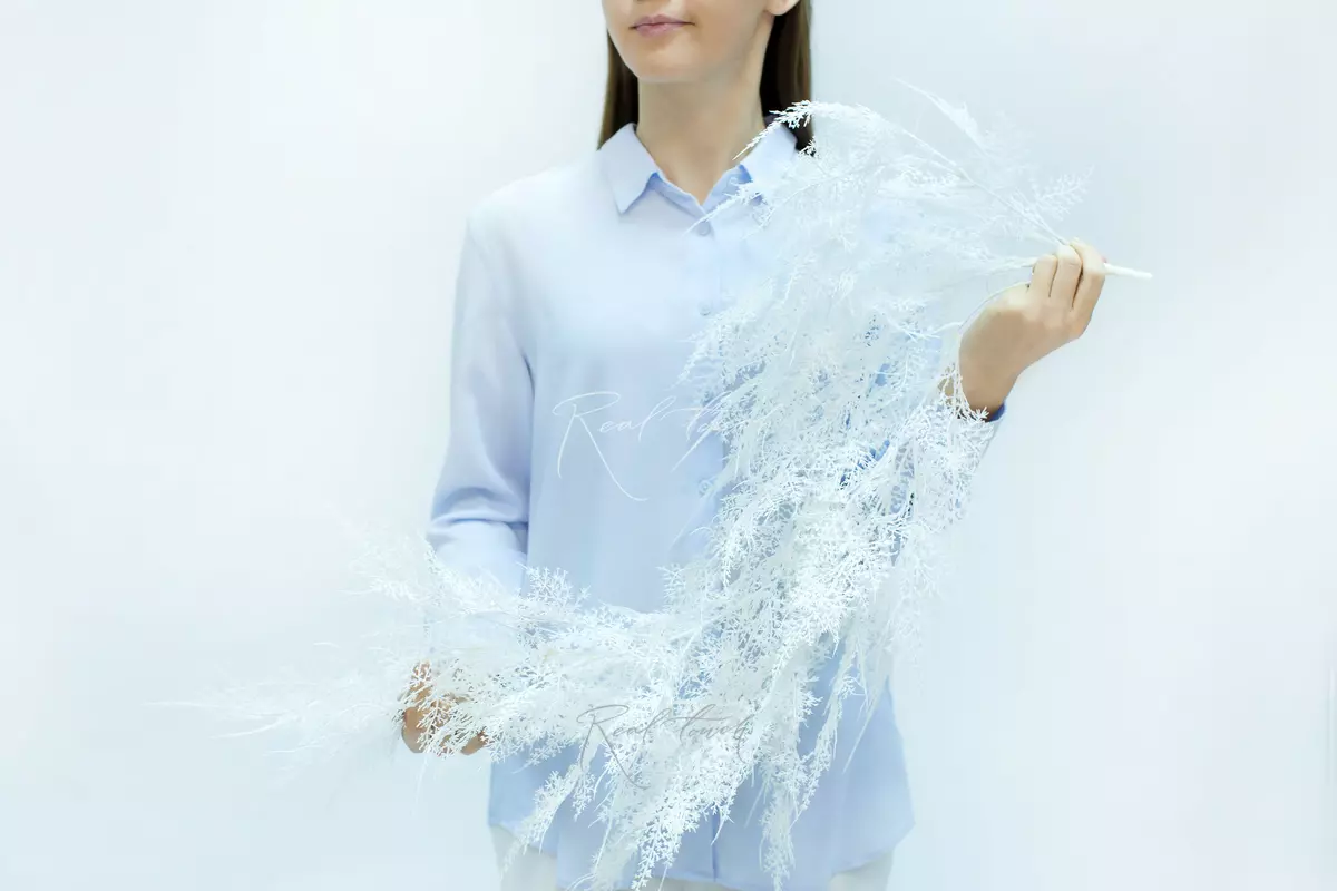 Real Touch Hanging Asparagus Cirrus new - white