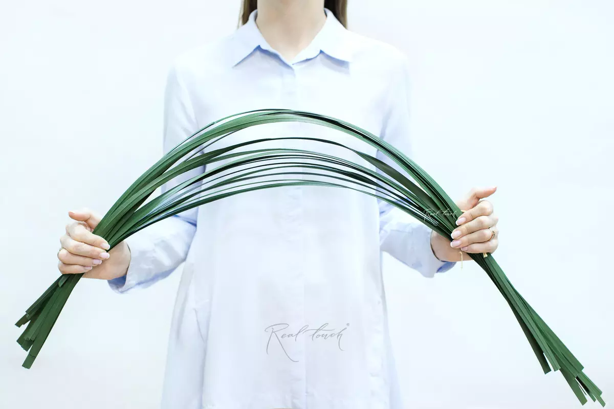 Stiltgrass (20 Pieces of Thick Long Grass Blades per Bunch) - green