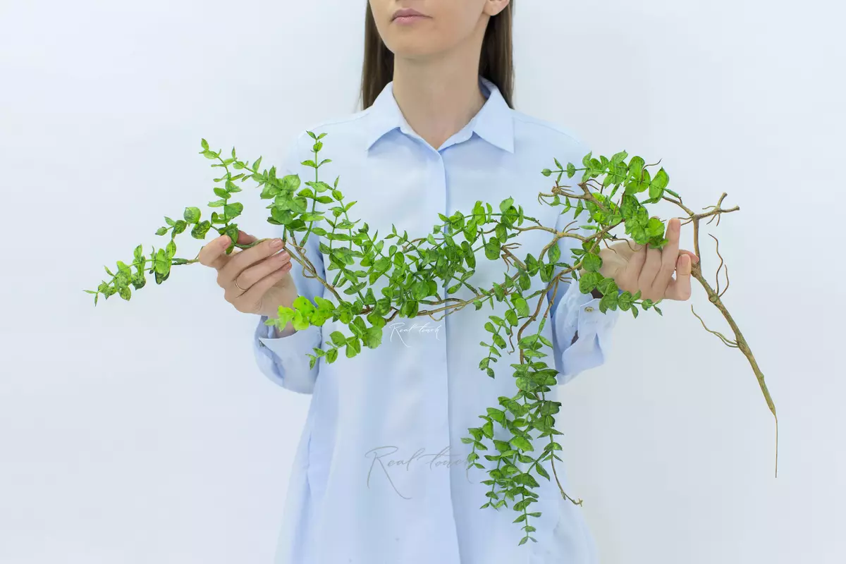 Real Touch Hanging Portulacaria - green
