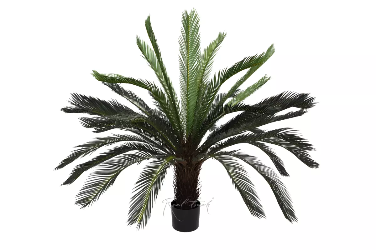 Palm Cycas 125cm - green Palm Cycas 125cm - green