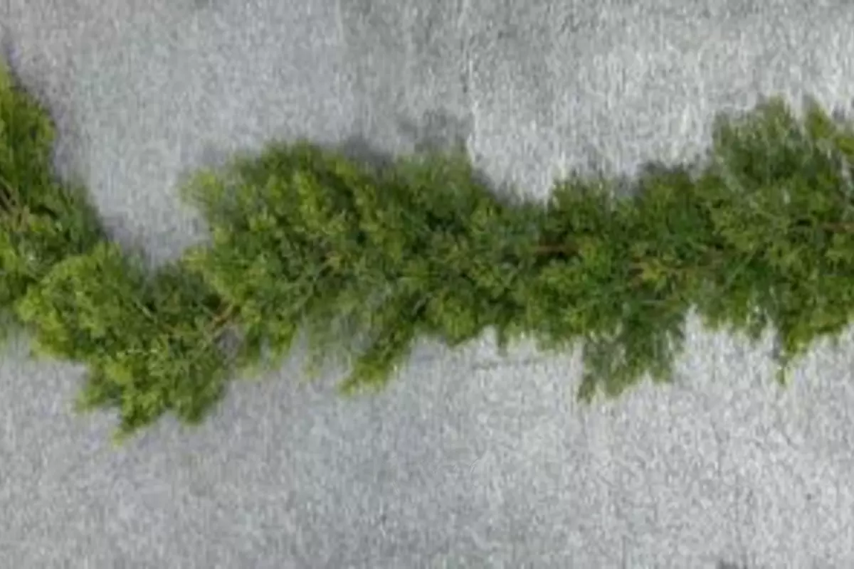 Pine needle garland 1.9m - green