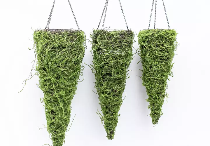 【ひかり】MOSS LEGIT 151cm ひかり】MOSS LEGIT 151cm ひかり】MOSS LEGIT 151cm Amazon.co.jp