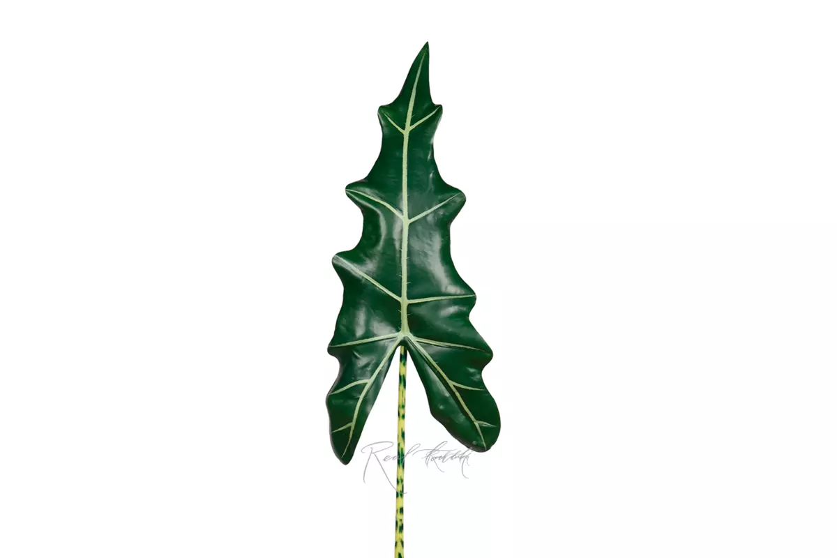 Alocasia Frydek leaf 115cm  - Dark green