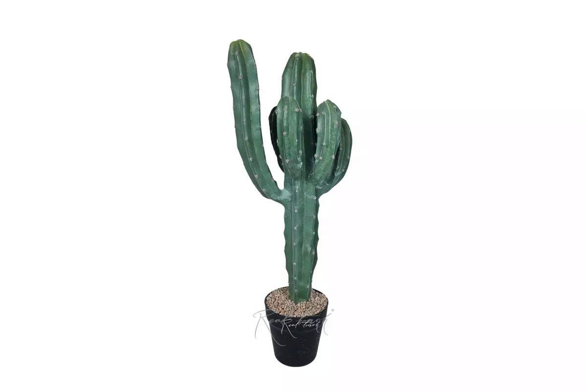 Cactus Cereus Mexican 64cm (type 2) - green