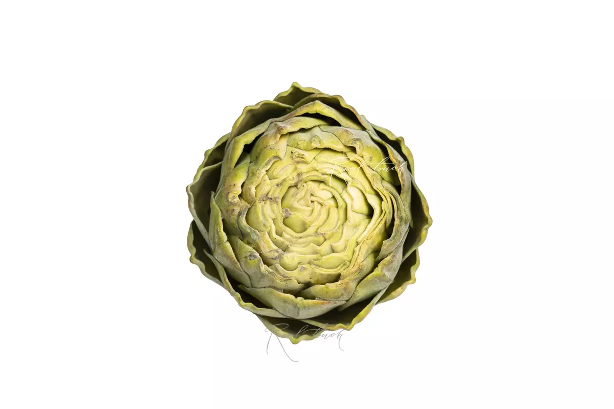 Artichoke Flat - green