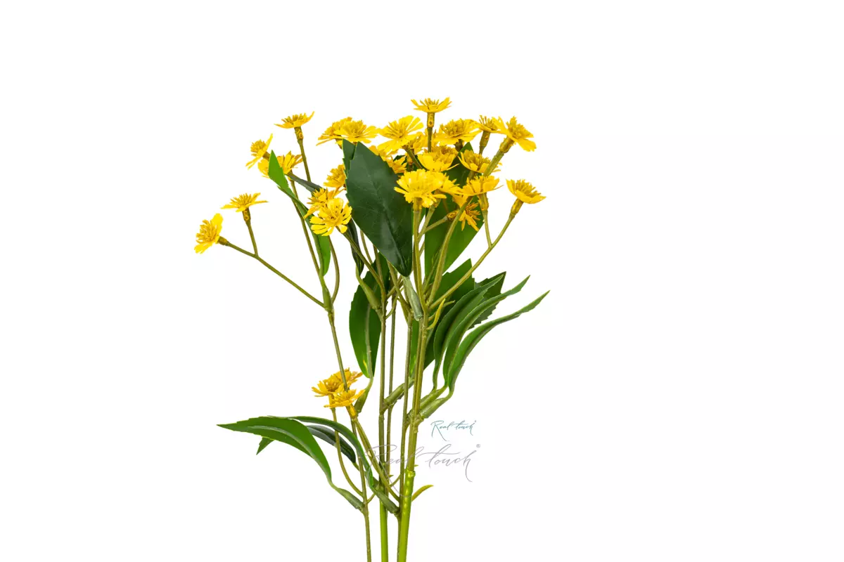 Bunch of daisies (a bunch of 6 pieces) - yellow