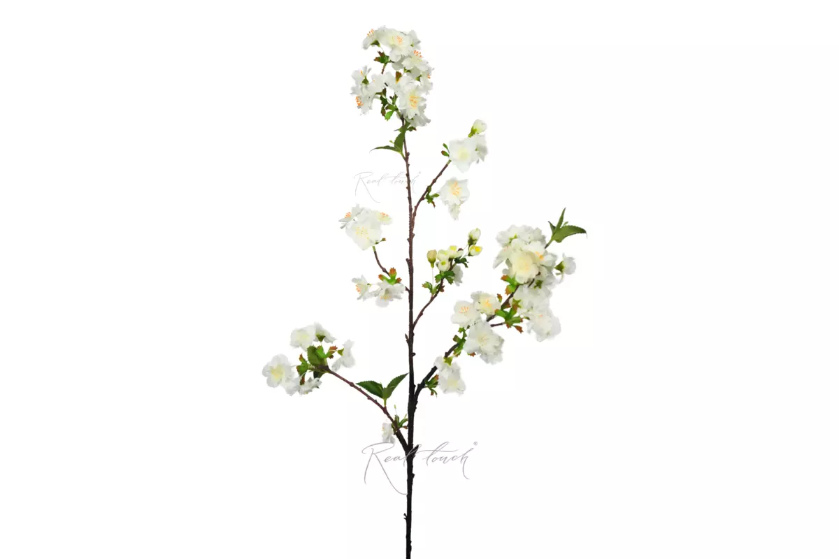 Cherry blossom branch - white