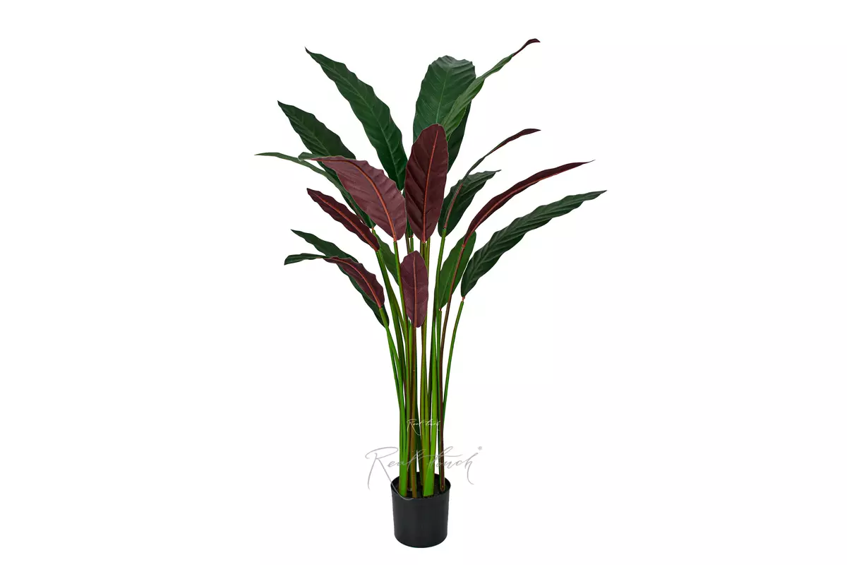 Artificial Calathea rufibarba 110cm - Dark green Artificial Calathea rufibarba 110cm - Dark green