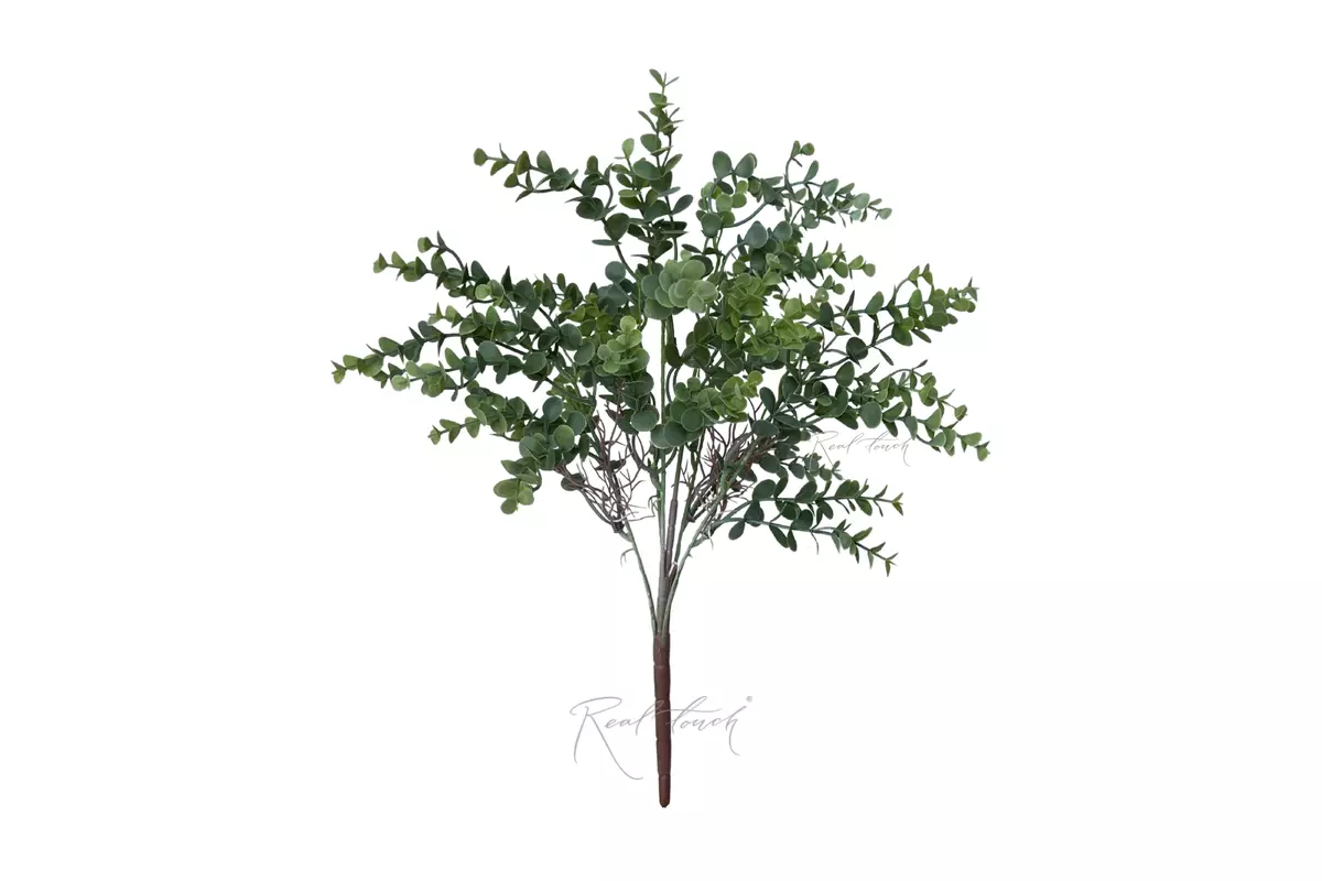  Eucalyptus Bush - dusty green