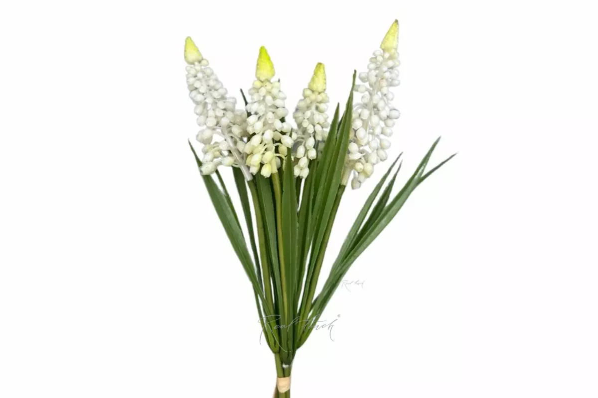 Muscari bunch - white