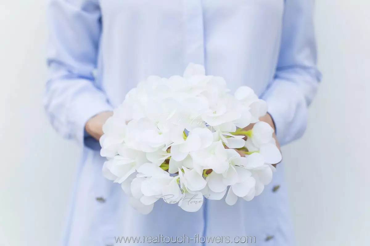 Hydrangea Flower (without stem) - white