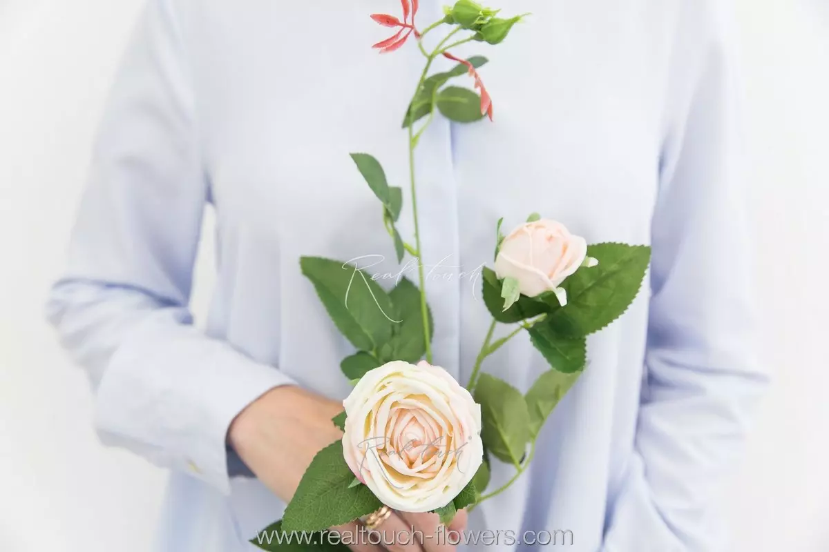 Peony Rose 1+1 - cream pink