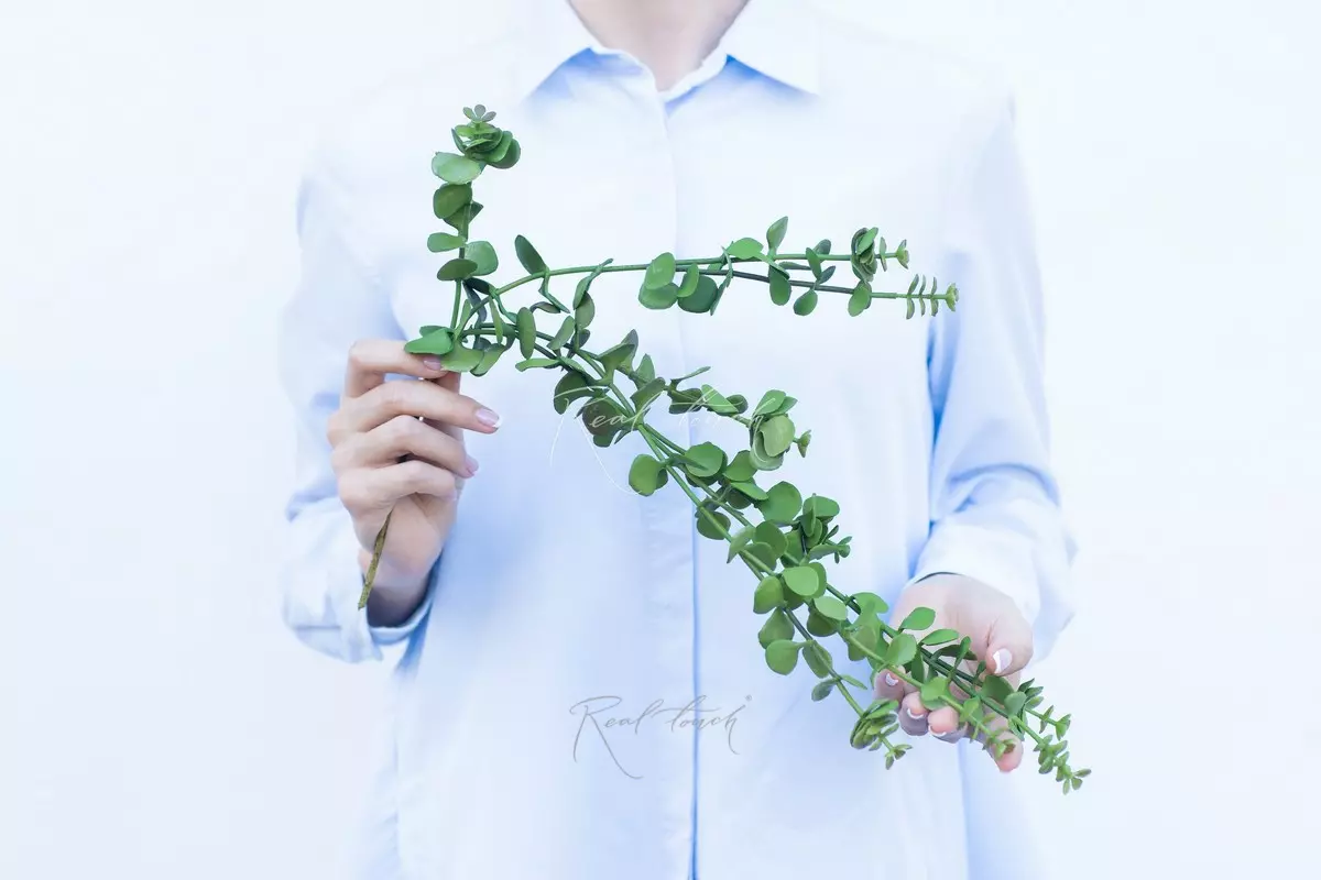 Artificial Portulacaria afra (Crassula) hanging plant  - green