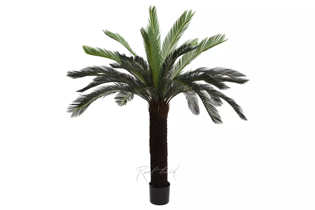 Artificial Cycas Palm 165cm - green Artificial Cycas Palm 165cm - green