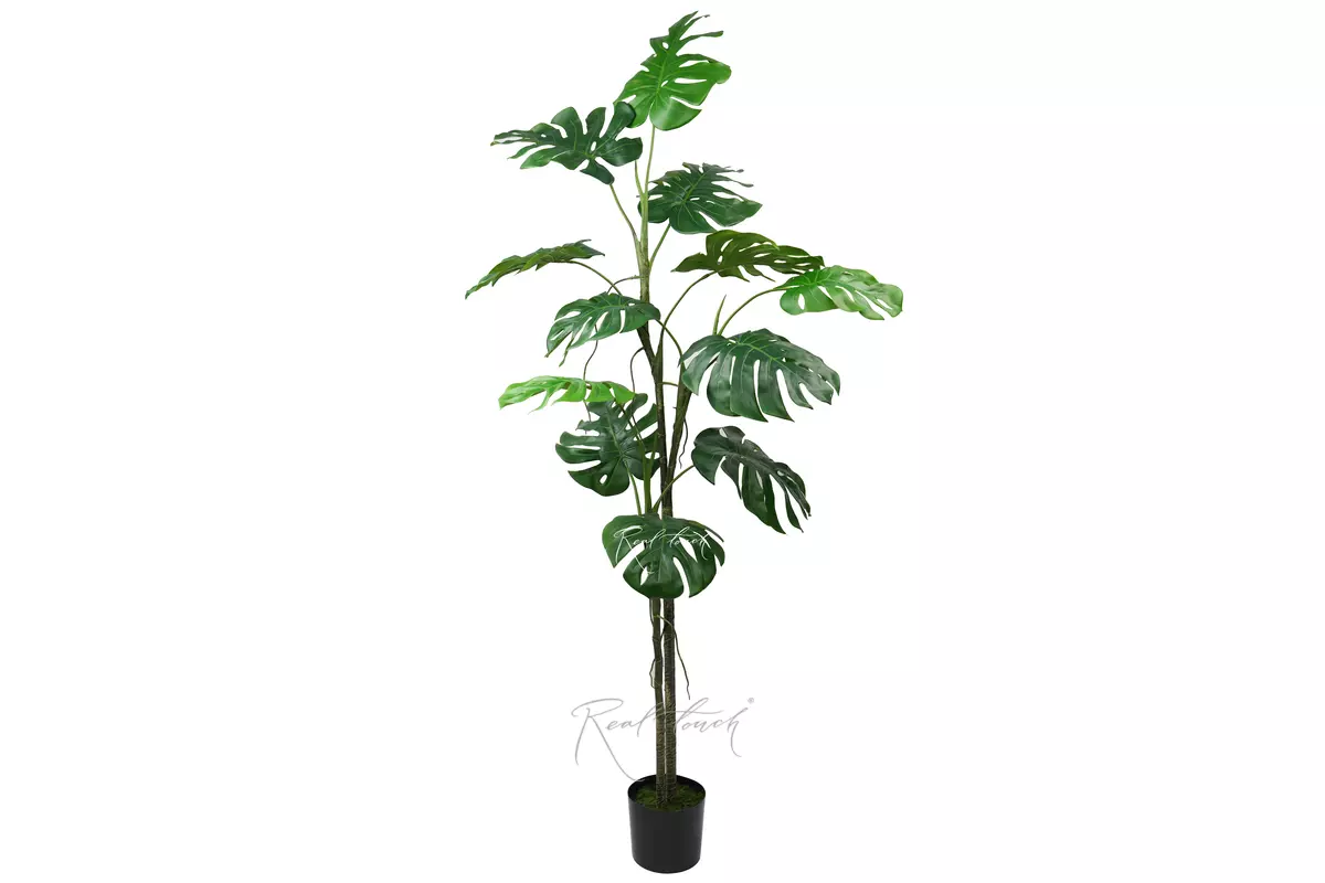 Articial Monstera liana 200 cm in the planters - green