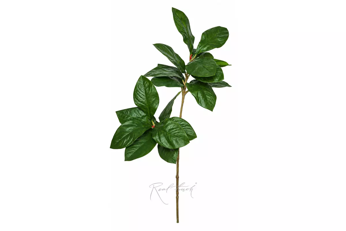 Ficus branch 110cm - green