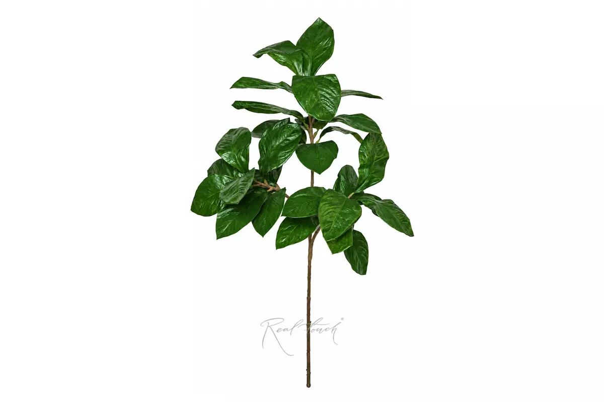 Ficus branch 150cm - green