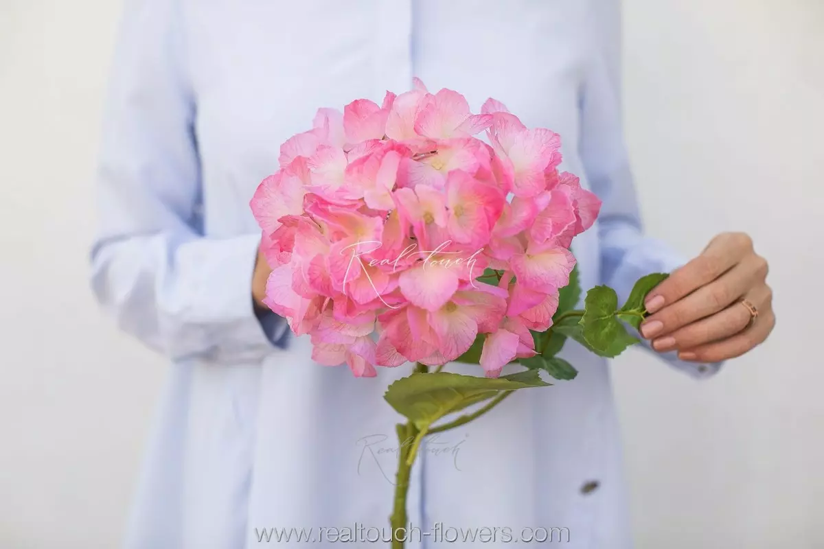 Serrated hydrangea inflorescence (without stem) - pink