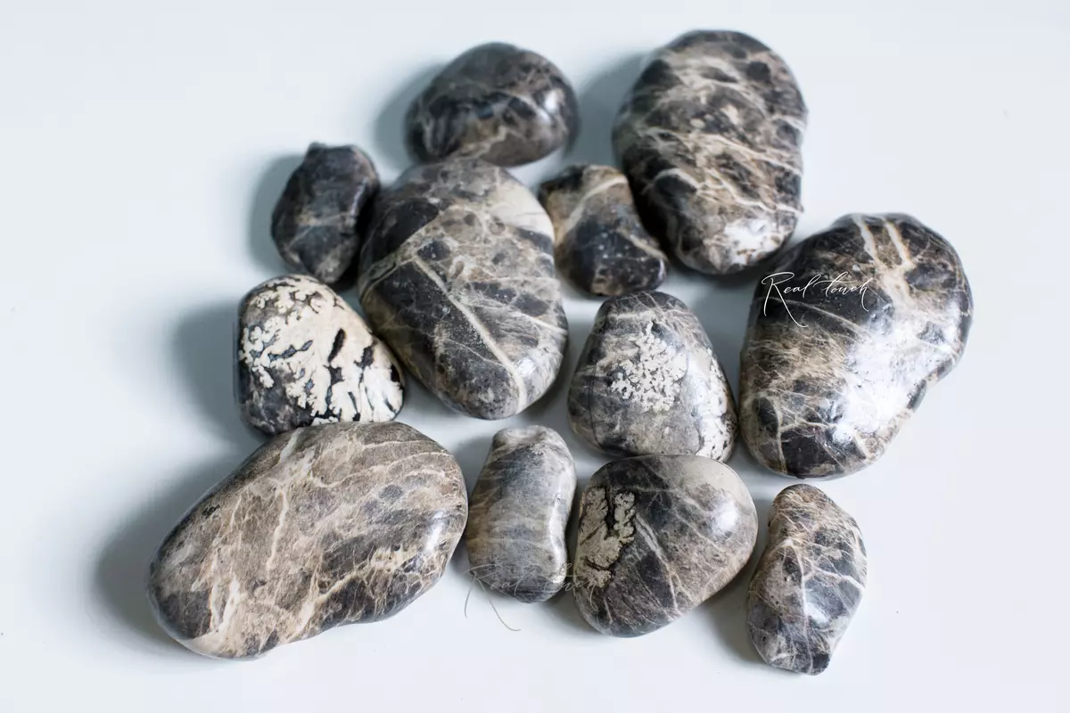 Stones MY1211 А - Gray