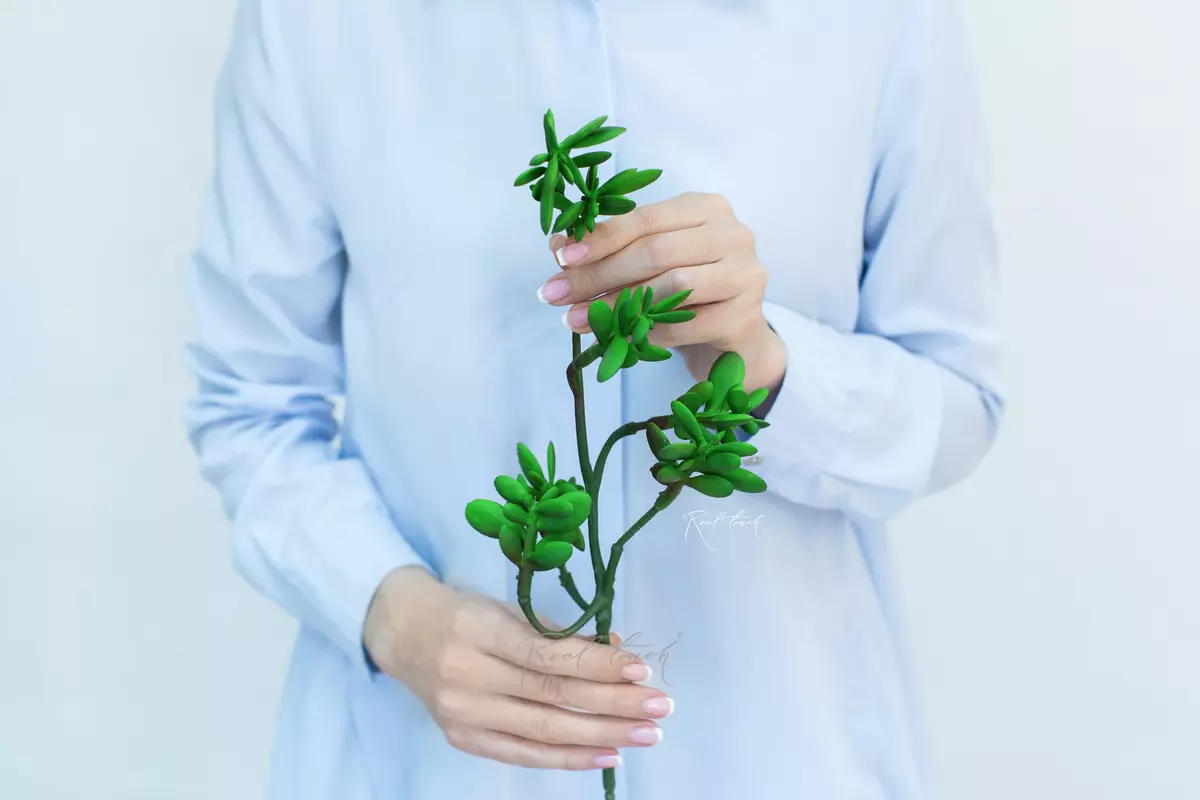 Succulent 401 - green