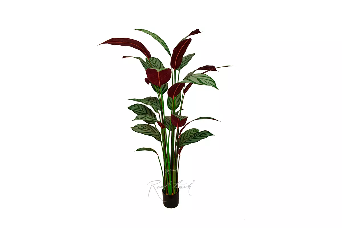 Artificial Calathea Freddie Bush 160cm - white green Artificial Calathea Freddie Bush 160cm - white green