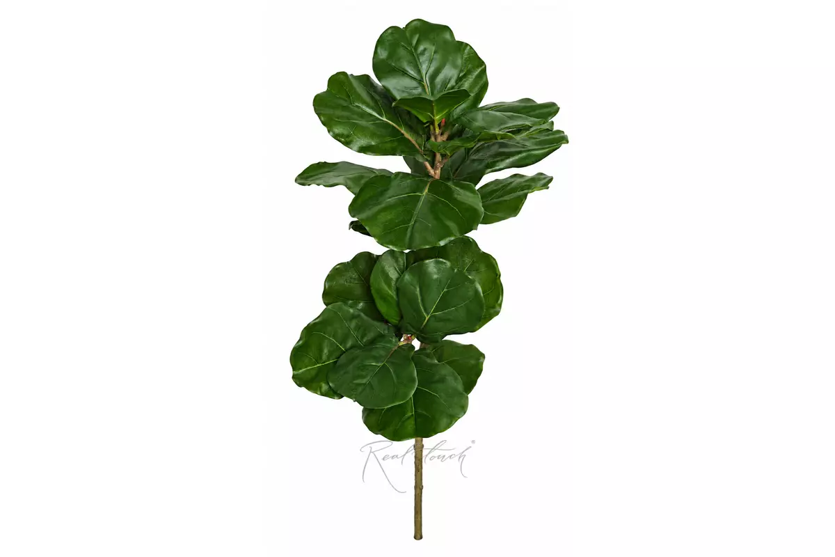 Ficus lyrata branch 110cm - green
