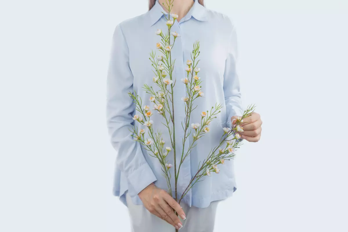 Chamelacium thin - white pink 